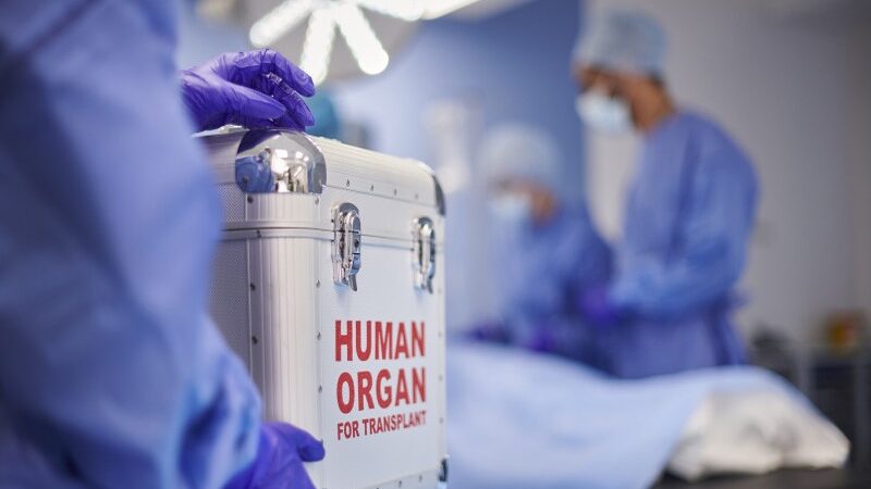 Donación de Órganos: Vida y Legado Después de la Muerte
