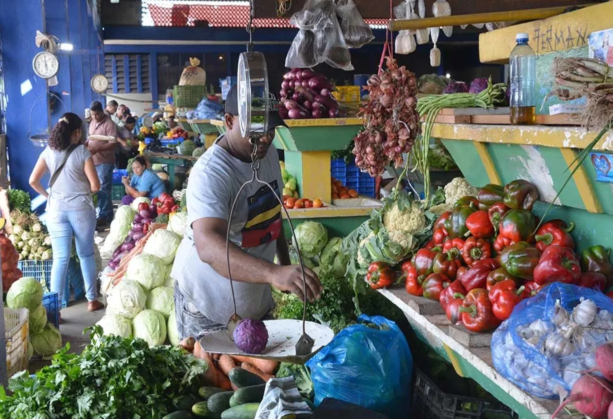 Comercio Dominicano Demanda Equidad ante Creciente Informalidad