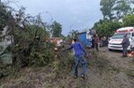 Tornado Afecta Loma de Cabrera: Árboles Caídos y Daños Materiales