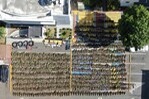 Récord Histórico: Incautan Más de 13,800 Libras de Marihuana en San José de Ocoa