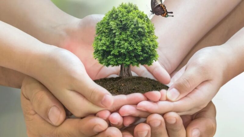 Proponen pacto nacional para proteger el medio ambiente en República Dominicana