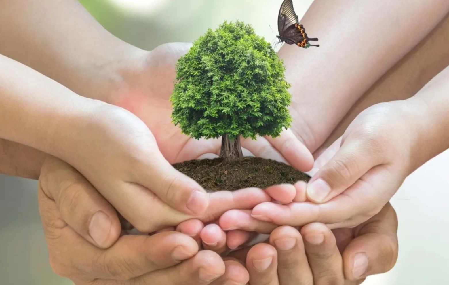 Proponen pacto nacional para proteger el medio ambiente en República Dominicana