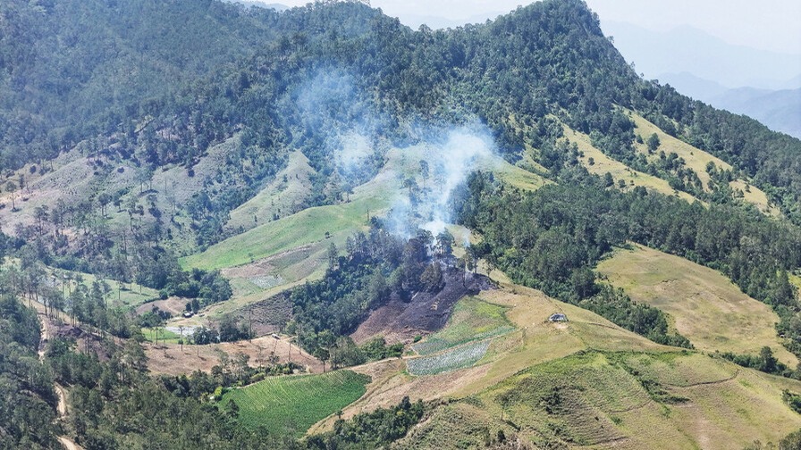 Disputa Territorial Surge tras Descubrimiento de Gran Plantación de Marihuana