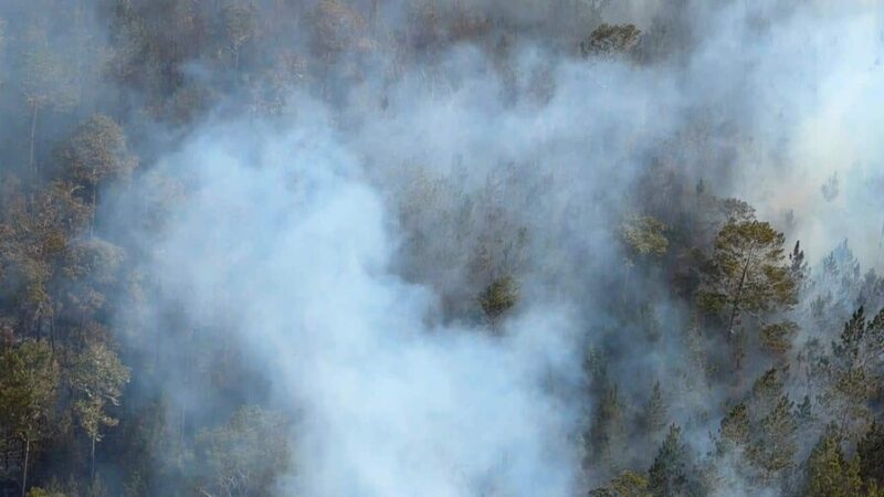 Intenso Operativo para Controlar Incendio en Sierra de Bahoruco