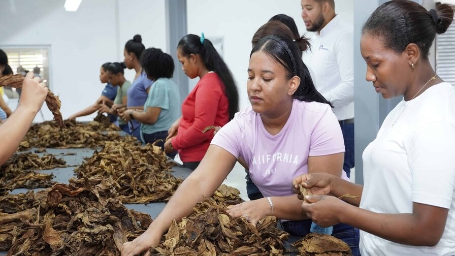 Persisten Desafíos Salariales en las Zonas Francas de República Dominicana