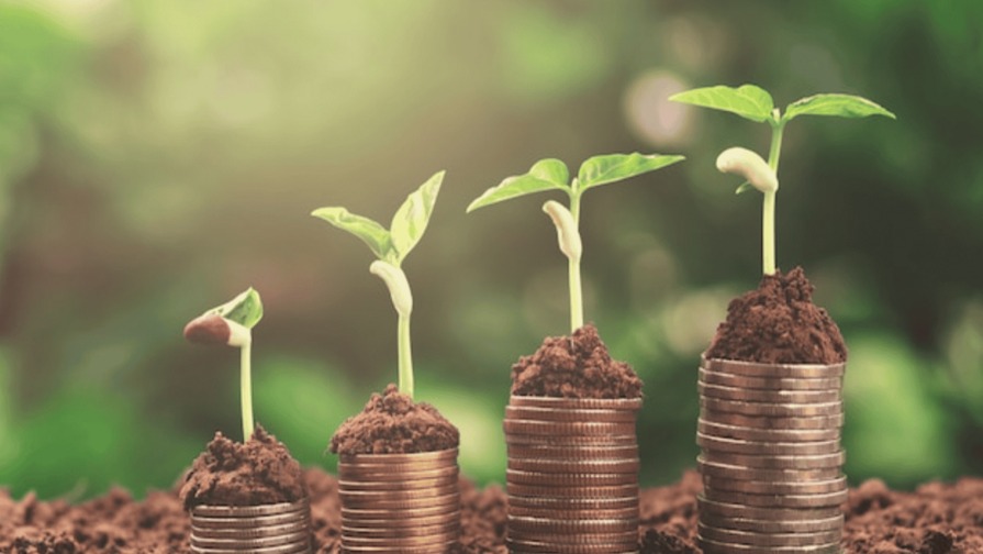 Desafíos y Oportunidades en el Financiamiento Rural Dominicano