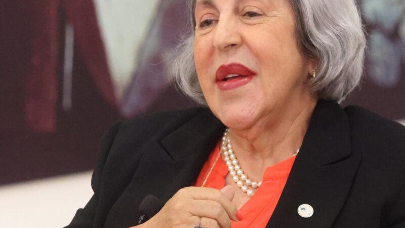 Profamilia Destaca Avances en Uso de Anticonceptivos y Reducción de Fecundidad en RD