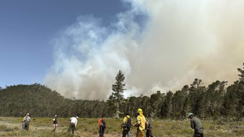 Medio Ambiente Intensifica Esfuerzos para Controlar Incendio en Bahoruco