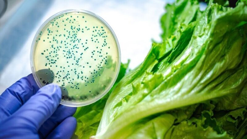 La contaminación alimentaria causa 1.5 millones de muertes anuales, según la OMS