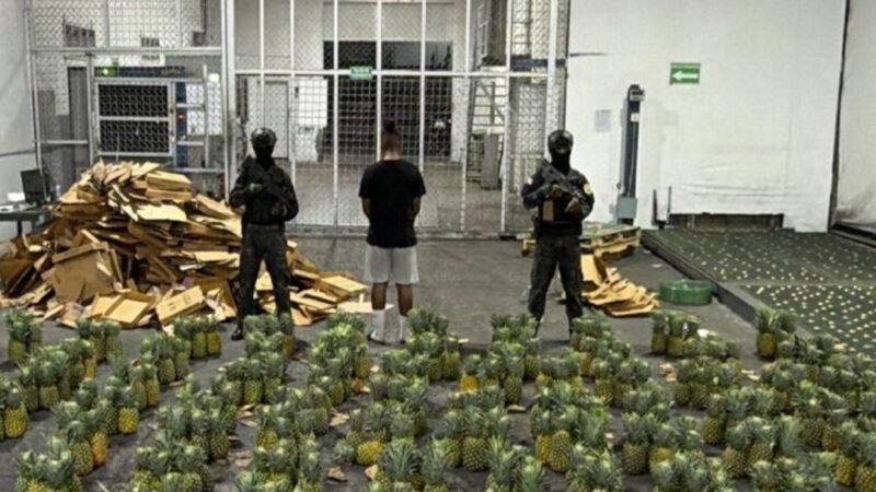 Desmantelan Operación de Cocaína Oculta en Piñas con Destino a Afganistán