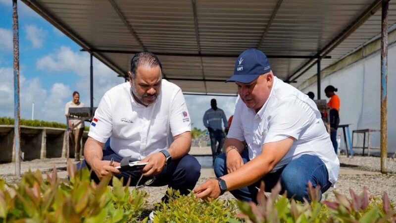 Innovación Verde: El Bosque que Genera Energía en República Dominicana