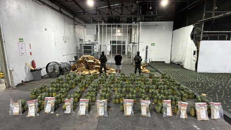 Decomisan 31.78 Kilogramos de Cocaína Ocultos en Piñas en el AILA