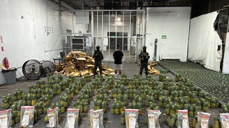 Incautan 121 Láminas de Cocaína Ocultas en Carga de Piñas en el AILA