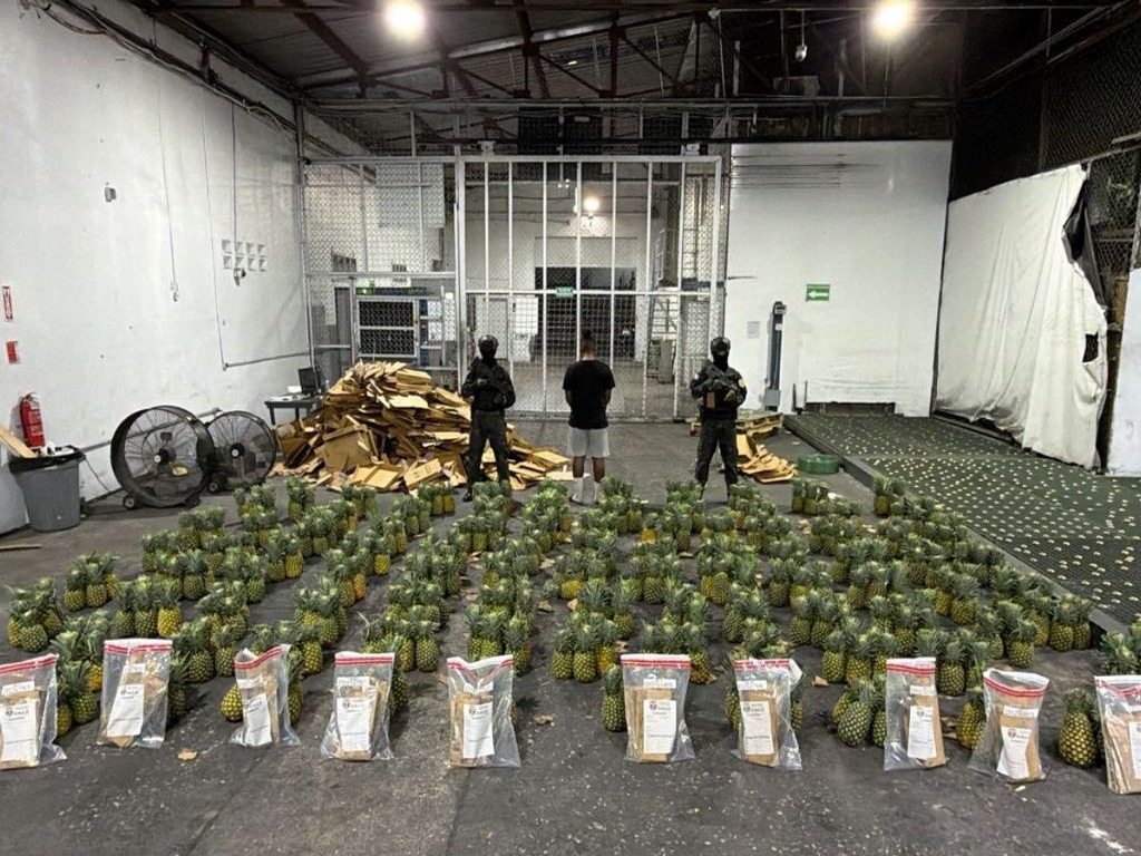 Incautan 121 Láminas de Cocaína Ocultas en Carga de Piñas en el AILA