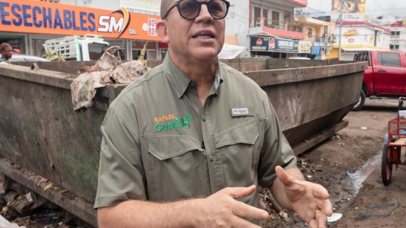 Diputado Rafael Castillo Exige Intervención Urgente en el Mercado de Los Mina