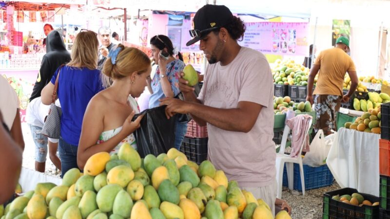 Diversidad de Mangos en RD: Un Festín de Sabores Internacionales