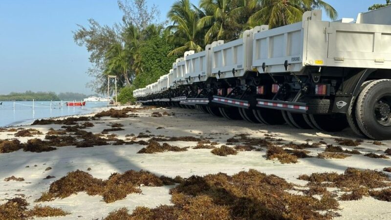 Mitur refuerza limpieza de playas con equipos valorados en RD$128 millones