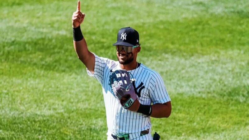 Jasson Domínguez: El Dominicano que Superó Obstáculos para Brillar con los Yankees