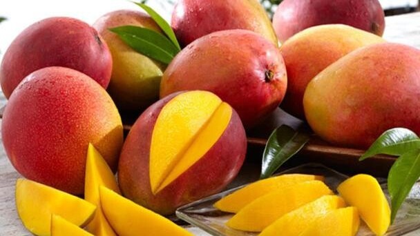 El Viaje del Mango: De la India al Caribe