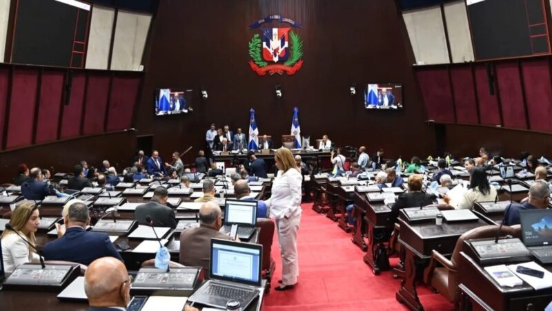 Debate Intenso: Modificaciones y Recursos de Inconstitucionalidad en el Código Penal Dominicano