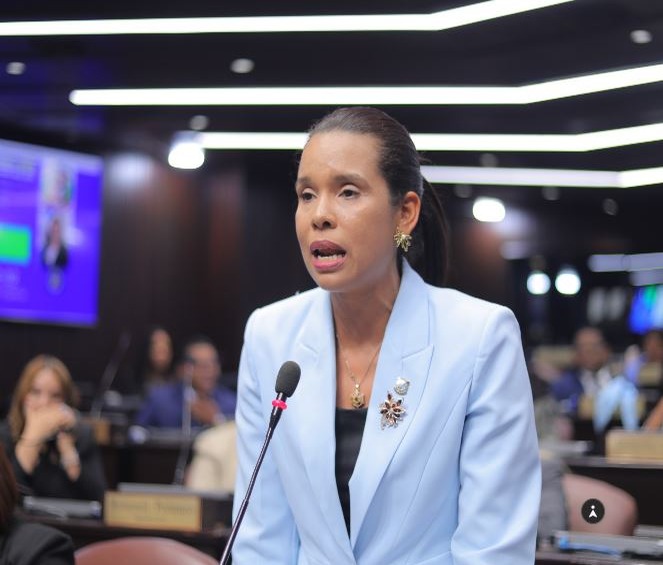 Diputada Patricia Núñez Impulsa Ley para Regular Cigarrillos Electrónicos
