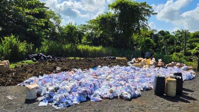 Inacif Destruye Más de 3 Toneladas de Drogas en Operativos Antinarcóticos