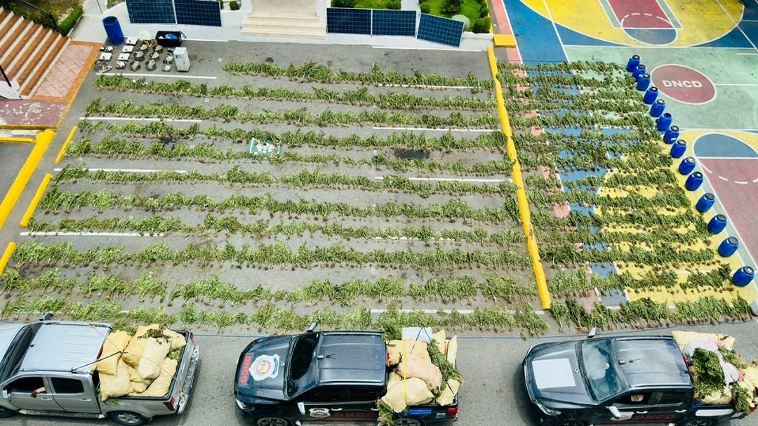 República Dominicana Intensifica Lucha Contra el Tráfico de Marihuana
