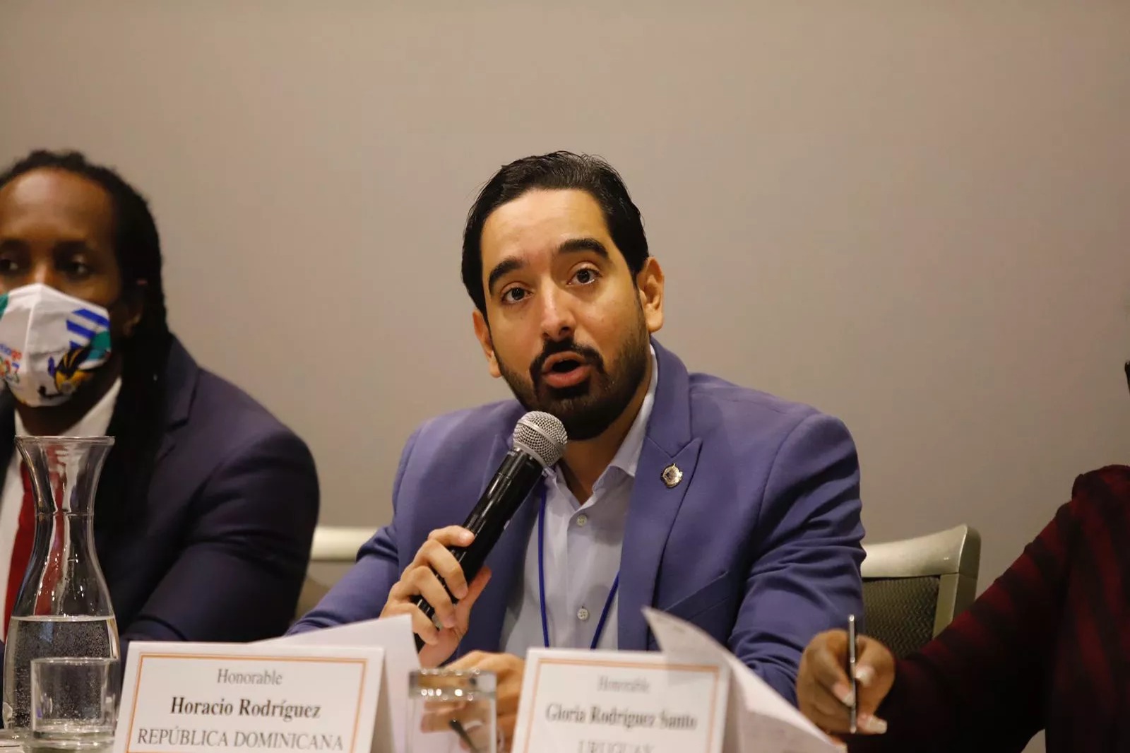 José Horacio Rodríguez critica manejo legislativo del PRM