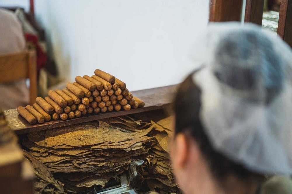 Industria del Tabaco Impulsa el Empleo y la Economía en República Dominicana