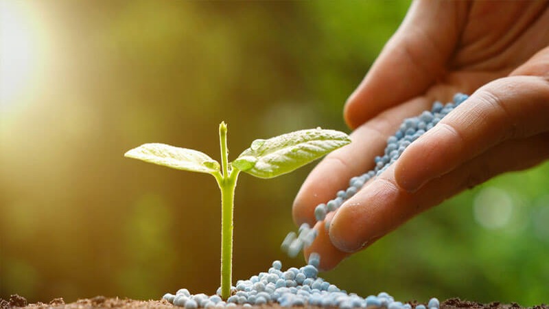 Gobierno Dominicano Amplía Subsidio a Fertilizantes con Inversión Millonaria
