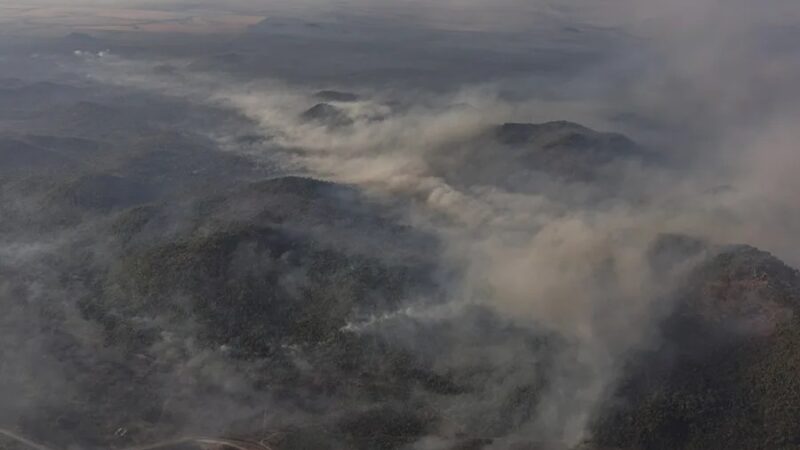 Incendios en la Amazonía brasileña crecen un 115 % en mayo de 2026