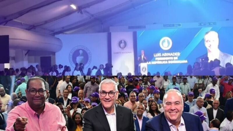 Partidos Políticos Dominicanos Activan Estrategias en un Contexto de Prohibición Electoral