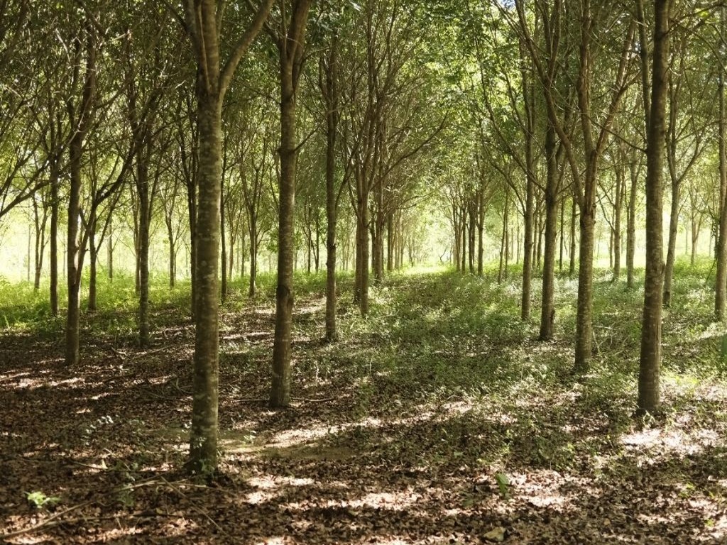 CAMIPE Aboga por Garantías de Cierre y Remediación en Nueva Ley Minera