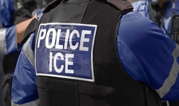 Dominicanos en Nueva York Celebran Prohibición de Arrestos de ICE en Tribunales Migratorios
