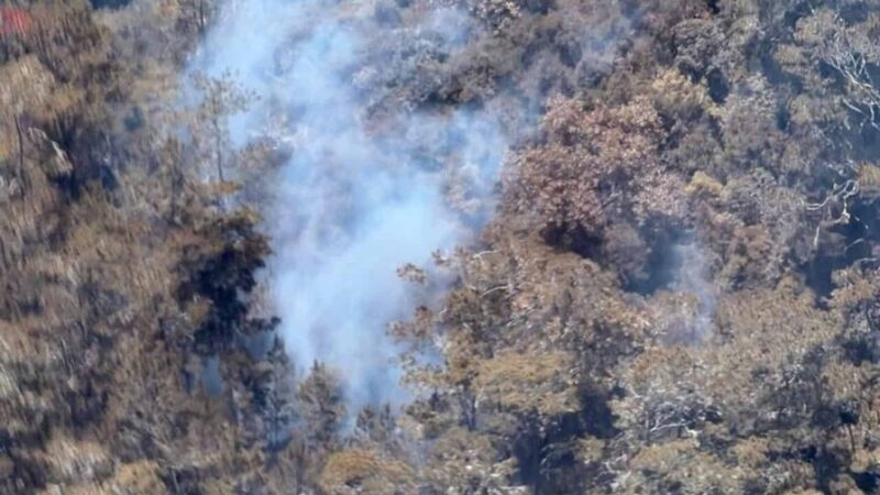 Intenso Incendio en Sierra de Bahoruco Desafía a Bomberos Forestales