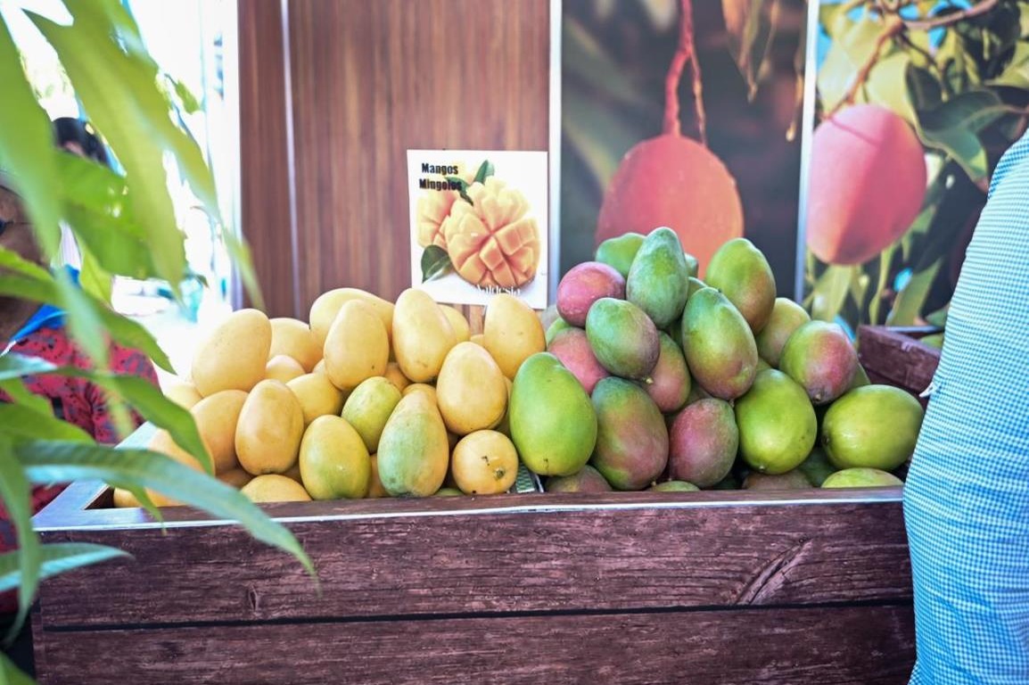 La expansión global del mango dominicano desde Baní