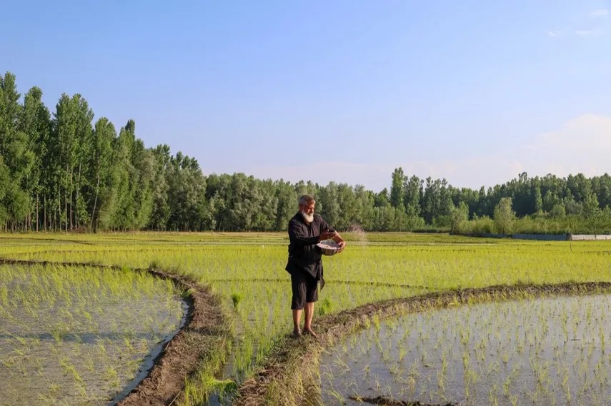 Impacto de la Crisis de Ormuz en la Agricultura y los Precios Globales