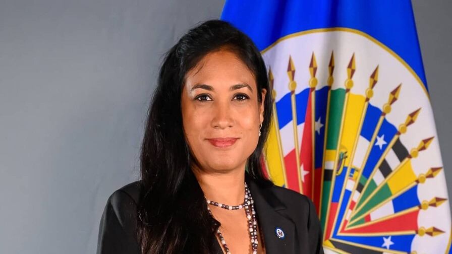 Renuncia de Jefa de Gabinete de la OEA en Medio de Acusaciones de Corrupción