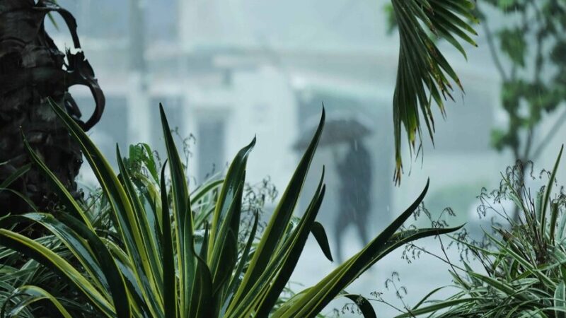 Alerta en República Dominicana por Vaguada y Onda Tropical