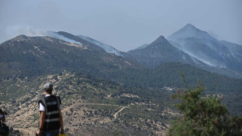 Devastadores Incendios Arrasan 77,000 Hectáreas en el Centro de España