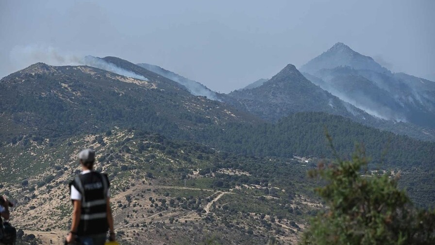 Devastadores Incendios Arrasan 77,000 Hectáreas en el Centro de España