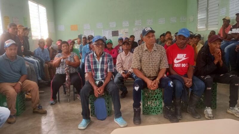 Productores de Café Dominicanos Claman por Apoyo ante Aumento de Importaciones