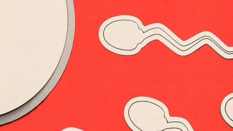 Infertilidad Masculina: Un Problema Ignorado que Exige Atención