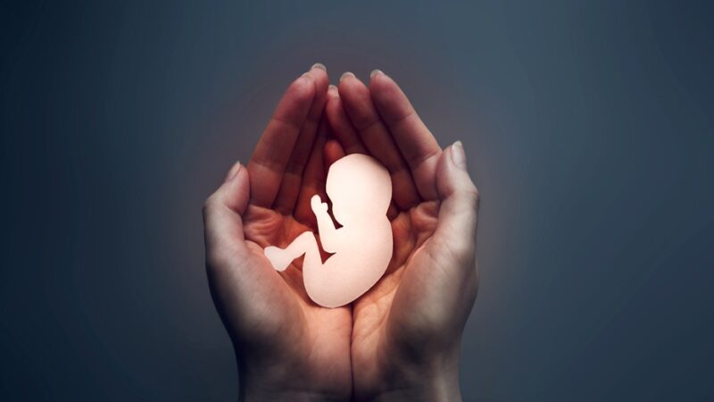 Jurista Califica de Infructuoso el Debate sobre Causales del Aborto en el Código Penal