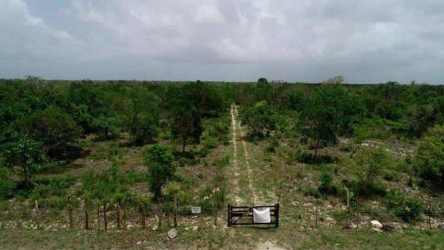 El Caso del Aeropuerto de Bávaro: Un Hito en el Derecho Aeroportuario