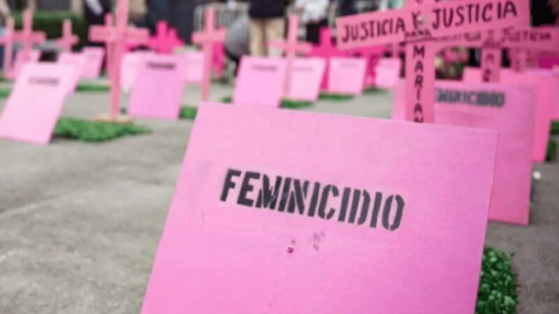 CE-Mujer Urge a Replantear Estrategias ante Aumento de Feminicidios