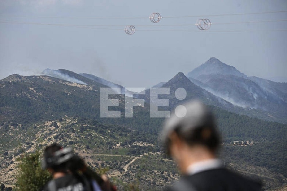 Incendios en España: 73,000 Evacuados y 25,000 Hectáreas Arrasadas