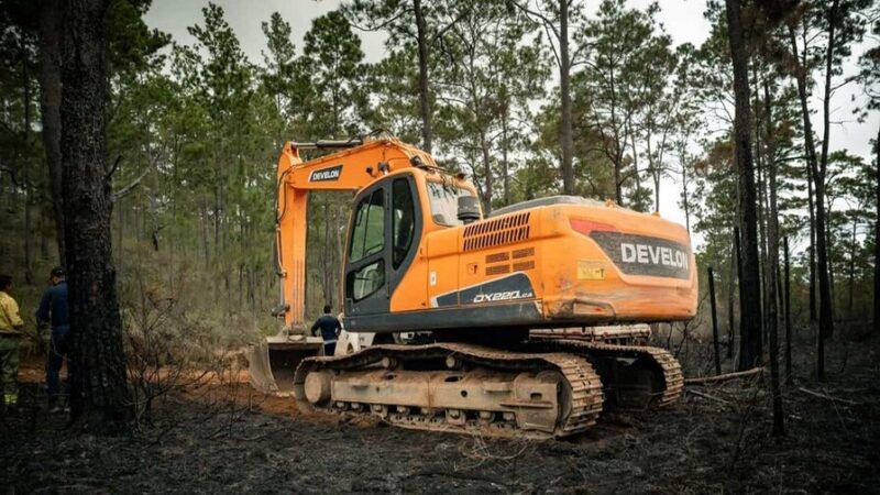 Incendio en Sierra de Bahoruco Bajo Control: Medio Ambiente Destaca Labor de Bomberos