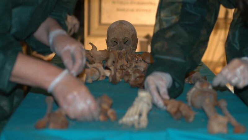 Revelan la Verdadera Causa de Muerte de Francisco de Medici