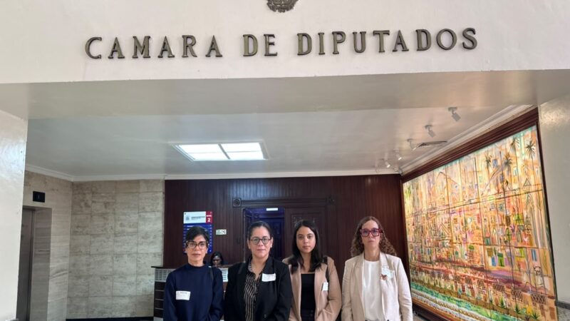 Juristas Dominicanos Exigen Inclusión de Tres Causales en el Código Penal